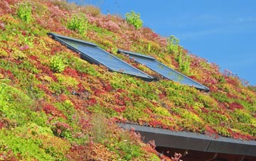 Boys Hill living roof systems